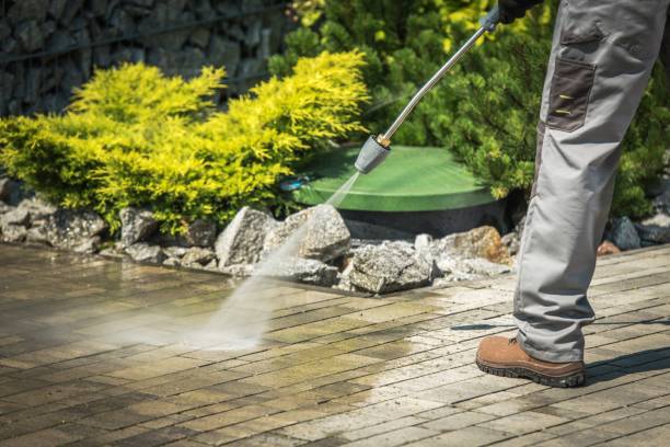 Best Pre-Holiday Cleaning  in University, FL