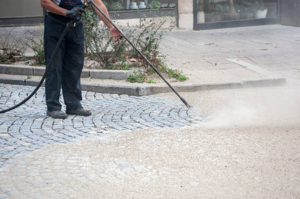 Best Building Exterior Washing  in University, FL